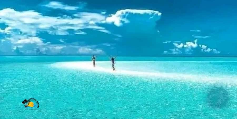 Nungwi: Mnemba Atoll Dolphins Tour with Snacks | Half-day - Mnemba Atoll Snorkeling and Marine Life
