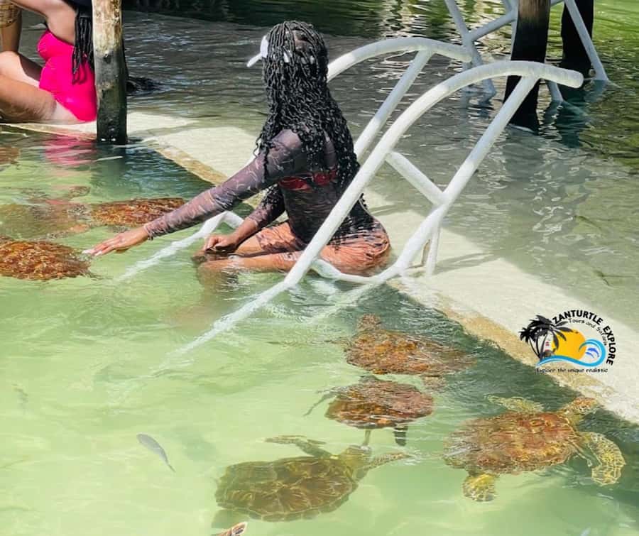 Nungwi: Swim & Snorkel with Turtles at The Lagoons Zanzibar - My call: book it if the turtles are your priority