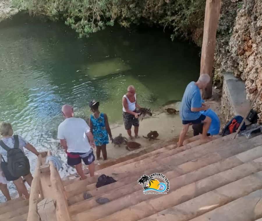 Nungwi: Swim & Snorkel with Turtles at The Lagoons Zanzibar - Four lagoons to explore, not just one swim