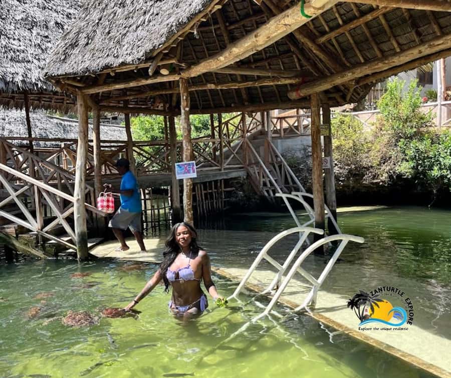 Nungwi: Swimming with Turtles at The Lagoons Zanzibar - Feeding the turtles with sea grass
