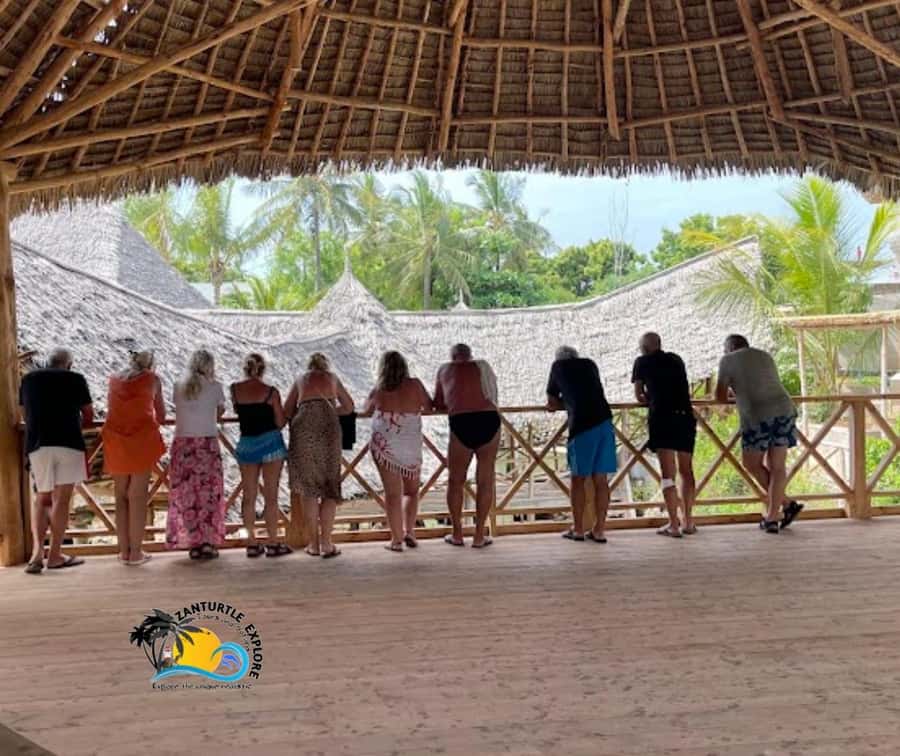 Nungwi: Swimming with Turtles at The Lagoons Zanzibar - Guides, languages, and the private group setup