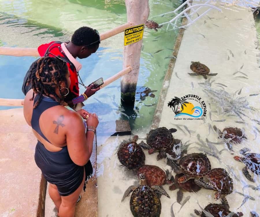 Nungwi: Swimming with Turtles at The Lagoons Zanzibar - A welcome at The Lagoons Zanzibar