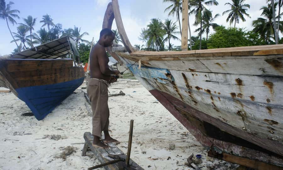 Nungwi Village Tour with Lunch and Optional Sunset Cruise - The Mnarani Aquarium and its sea turtles