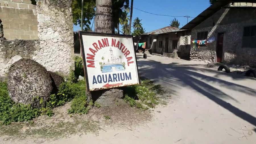 Nungwi Village Tour with Lunch and Optional Sunset Cruise - Walking through Nungwi with a village guide