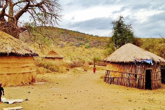 Off the Beaten Track Safari in Arusha Tanzania - Day 4: A full Serengeti day, with an optional night or walking safari