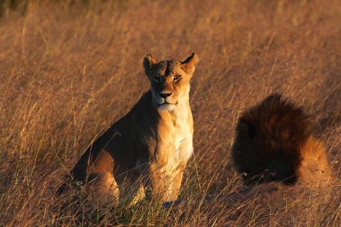 Off the Beaten Track Safari in Arusha Tanzania - Day 2: Tarangire and the great elephant country
