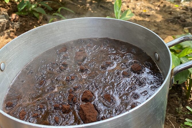 Organic Coffee Tour and Local Food Experience in Arusha - Drinking coffee in the tree house
