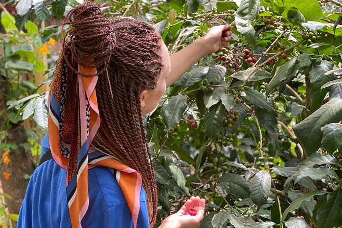Organic Coffee Tour and Local Food Experience in Arusha - The people make the visit