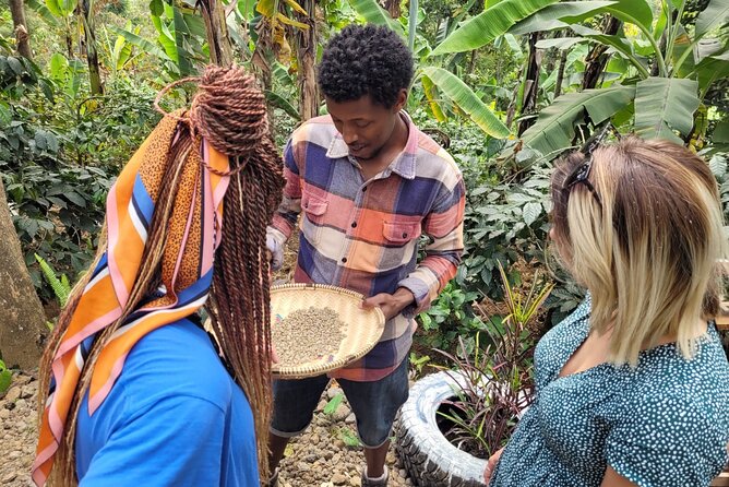 Organic Coffee Tour and Local Food Experience in Arusha - Who should book this experience?