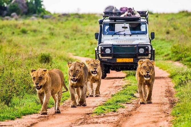 Outstanding day trip to Tarangire National Park - The 6:00 am start and the shape of the day