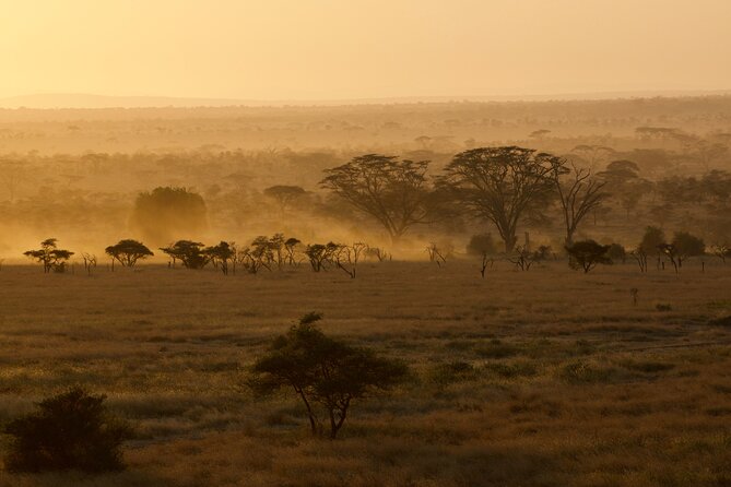 Outstanding day trip to Tarangire National Park - Wildlife sightings: exciting, but never promised