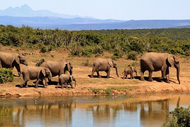 Outstanding day trip to Tarangire National Park - Who should book this Tarangire day trip?