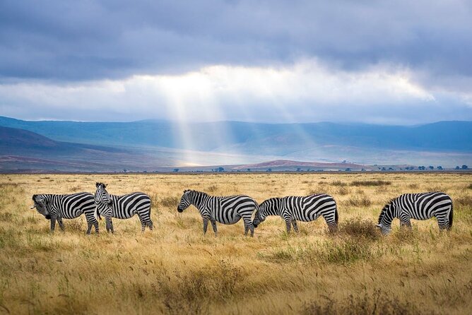 Outstanding day trip to Tarangire National Park - Entering Tarangire: elephants, swamps, and open country