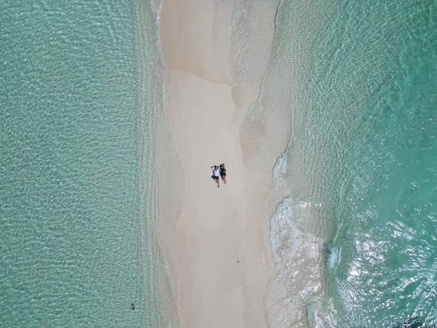 Paje Beach, Lunch at The Rock Restaurant, Mnemba Snorkeling - A long Zanzibar day with a clear purpose