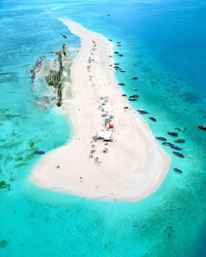 Prison island and nakupenda beach sandbank - Why this six-hour Zanzibar trip works
