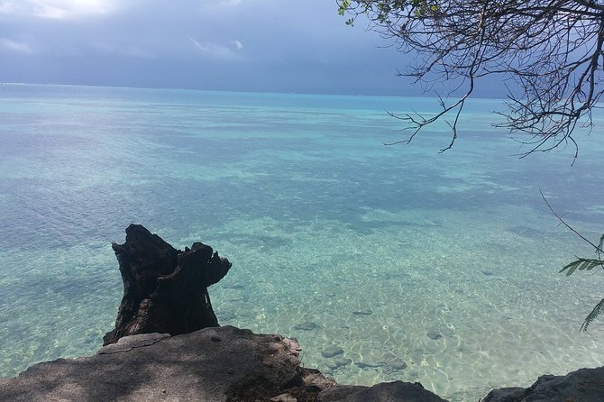 Prison Island Half-Day Tour from Zanzibar - Prison Island’s difficult past