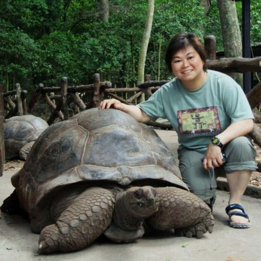 Prison Island, Sea Turtles, Rock Restaurant & Relax in Beach - Key points to know before booking