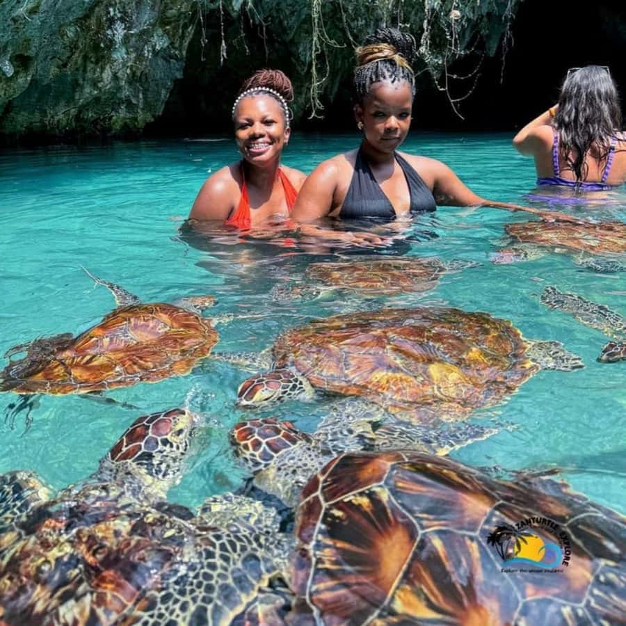 Prison Island, Sea Turtles, Rock Restaurant & Relax in Beach - Salaam Cave and the rescued sea turtles