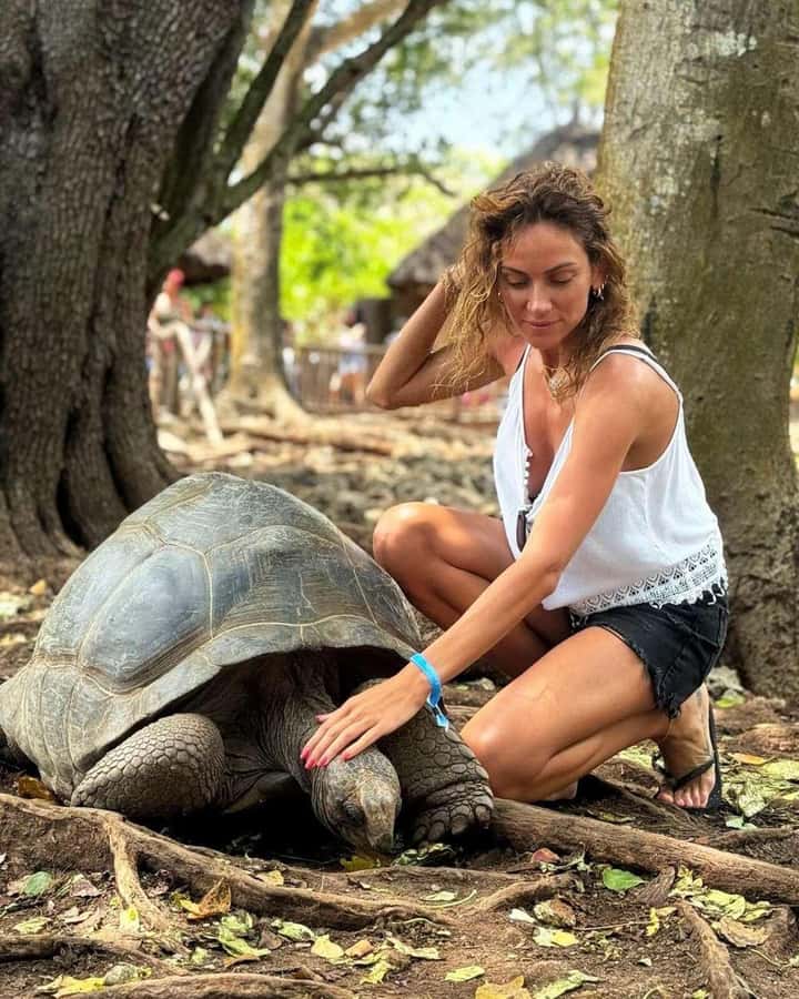 Prison Island, Sea Turtles, Rock Restaurant & Relax in Beach - Should you book it?