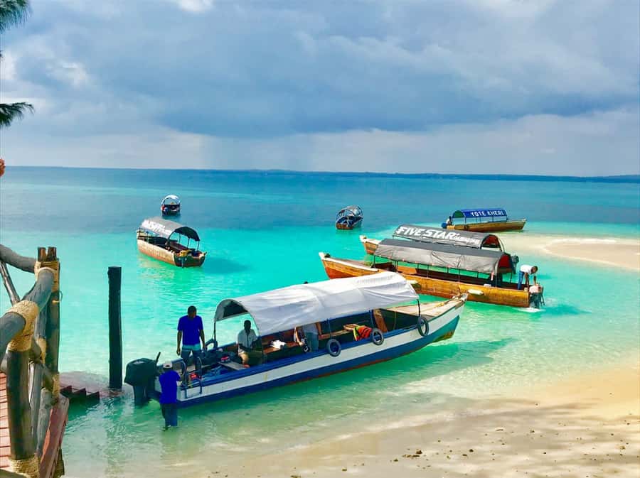 Prison Island Tour, Spice Tour with Lunch, The Island Pongwe - Meeting the giant tortoises on Prison Island