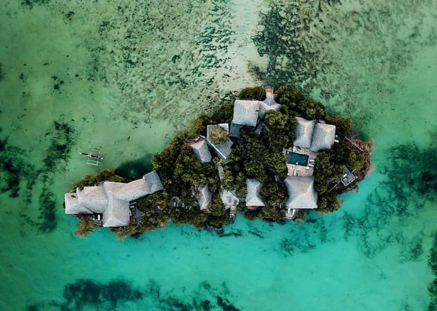 Prison Island Tour, Spice Tour with Lunch, The Island Pongwe - Smelling Zanzibar in a tropical spice garden