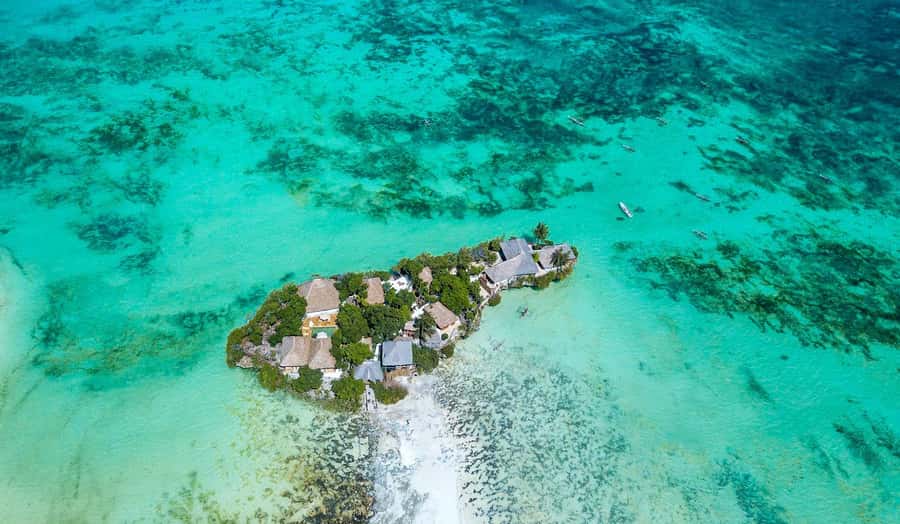 Prison Island Tour, Spice Tour with Lunch, The Island Pongwe - The guides make a practical difference