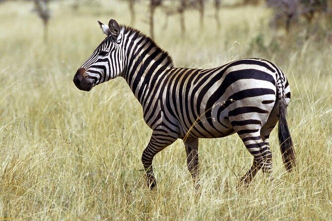 Private 3 Day Tour to Serengeti National Park - Key points to know before booking