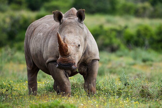 Private 3 Day Tour to Serengeti National Park - Leaving Arusha for the Serengeti