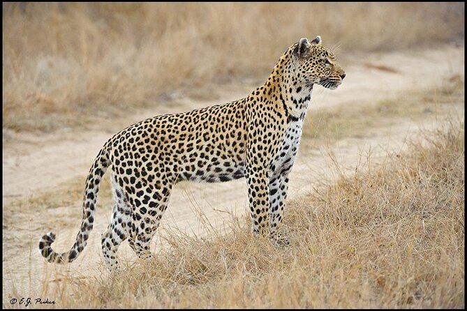 Private 3 Day Tour to Serengeti National Park - Two full days among the endless plains