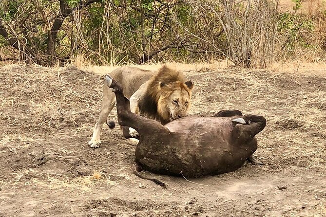 Private 3 Days 2 Nights Mikumi Adventures - Why Mikumi works for a short safari from Dar es Salaam