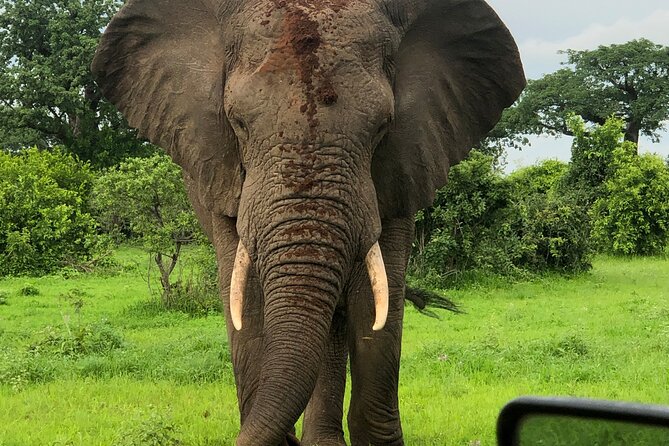 Private 3 Days 2 Nights Mikumi Adventures - Day two: the main wildlife day in Mikumi