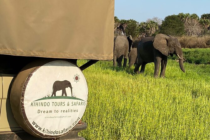 Private 3 Days 2 Nights Mikumi Adventures - Day three: returning to Dar es Salaam