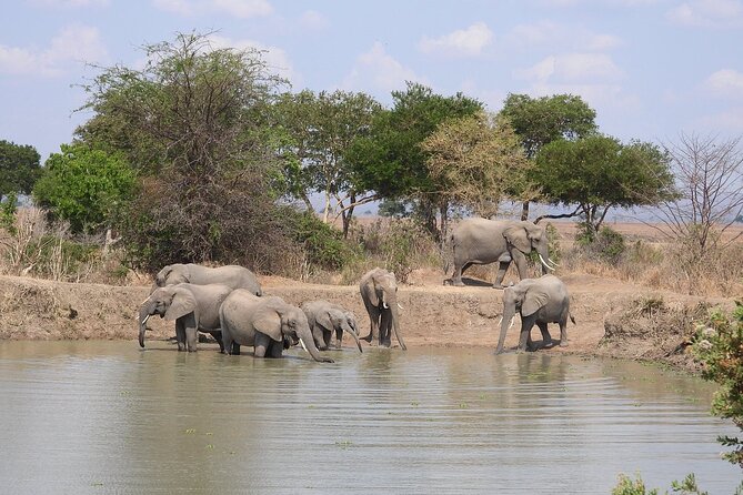 Private 3 Days 2 Nights Mikumi Adventures - Meals, lodging, and daily comfort