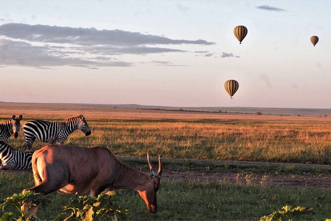 Private 4-Days Northern Circuit National Parks in Tanzania - Guides, animal sightings, and the human side of the trip