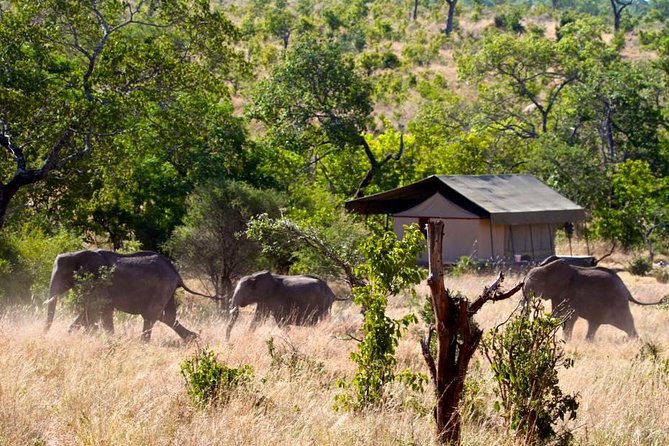 Private 4-Days Northern Circuit National Parks in Tanzania - Day 2: Forest walks and waterfalls in the Ngorongoro area