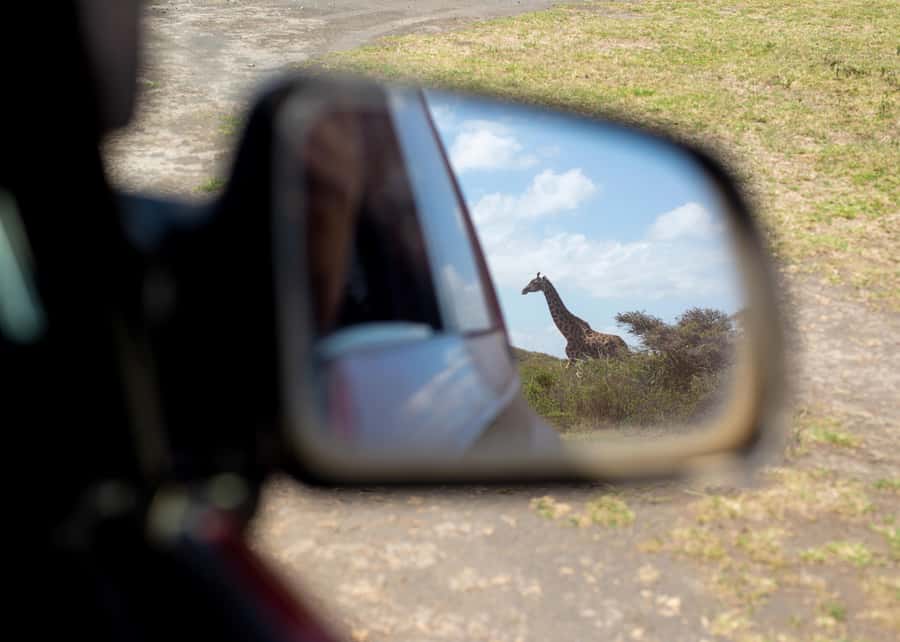 Private 4x4 Vitara Safari in Arusha National Park - A coffee break with Mount Meru in view