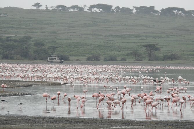 Private 5 Days Camping Tour in Serengeti National Park - Why this route works in five days