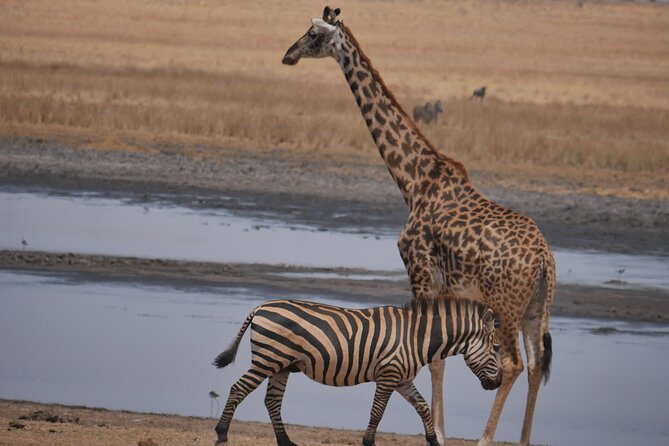 Private 5 Days Tanzania Safari - Day 2: Forest, monkeys, and the Momela Lakes