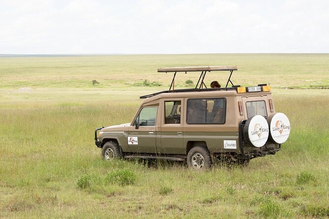 Private 6-Day Great Migration Ndutu Serengeti Safari Tour - Day 4: A full day with the migrating herds