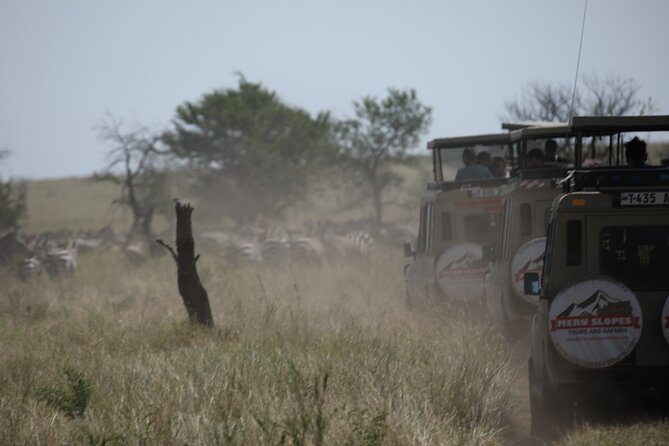 Private 6 Day Great Wildebeest Migration Ndutu Calving Season - Key points to know before you book