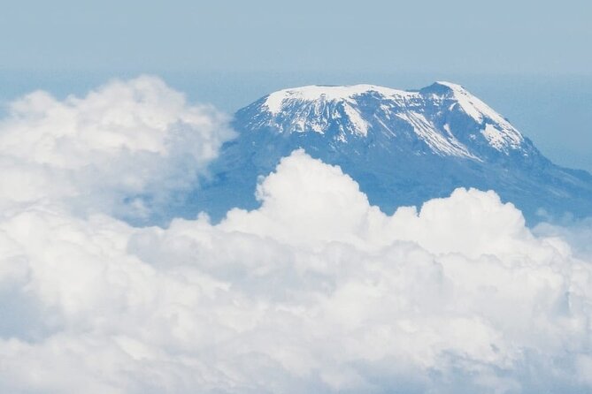 Private 6-Day Kilimanjaro Climbing via Machame route from Arusha - Day two: leaving the trees for Shira Camp