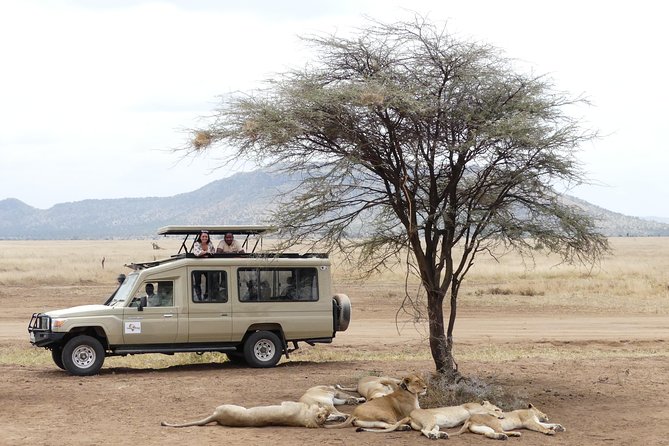 Private 6-Day Tarangire Manyara Crater and Serengeti with Mid-Range Lodges - Day 2: elephants and baobabs in Tarangire