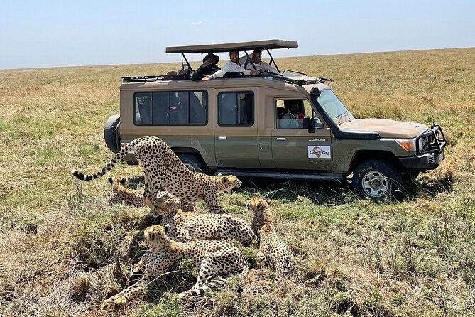 Private 6-Day Tarangire Manyara Crater and Serengeti with Mid-Range Lodges - Mid-range lodging and meals: what the price covers