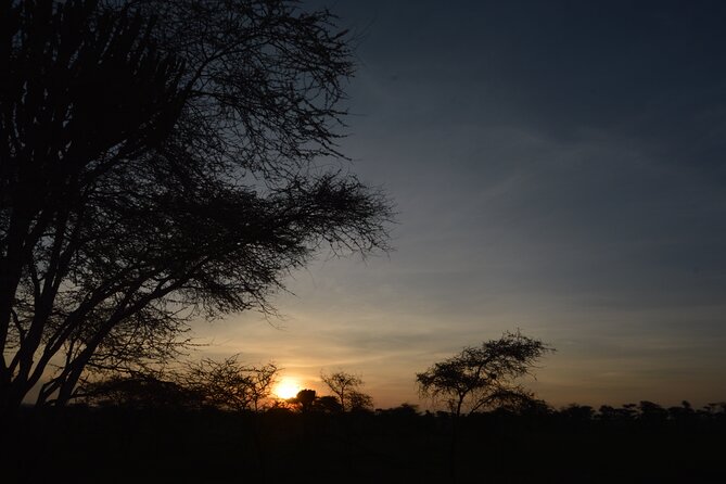 Private 7-Day Tanzania Camping Safari - Day seven: six hours on the Ngorongoro Crater floor