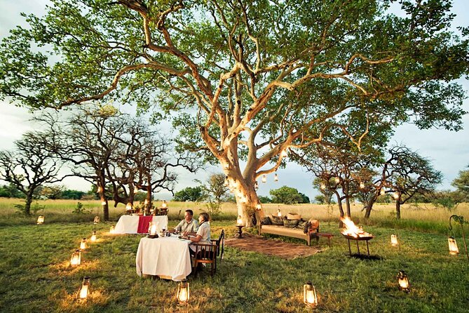 Private 7 Days Classic Safari Tour in Tanzania - Serengeti: two days in the heart of big-cat country