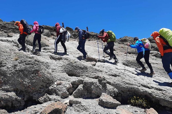Private 8-Day Kilimanjaro Trek on Lemosho Route from Moshi - Five things to know before choosing this climb