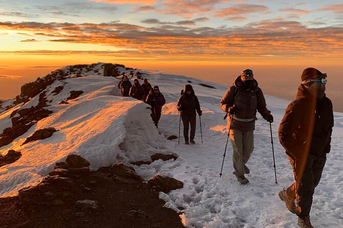 Private 8-Day Kilimanjaro Trek on Lemosho Route from Moshi - Why the Lemosho Route earns eight days