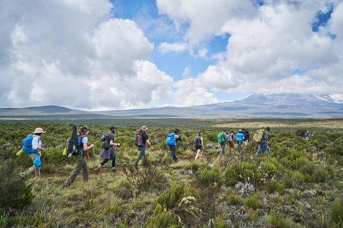 Private 8-Day Kilimanjaro Trek on Lemosho Route from Moshi - Day 3: Shira Plateau and optional Shira Cathedral