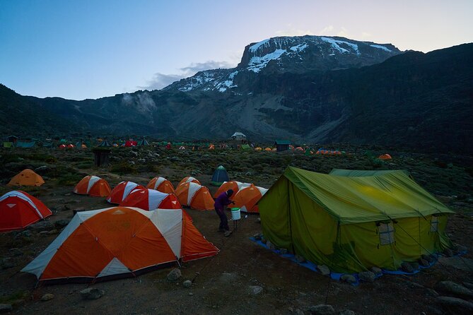 Private 8-Day Kilimanjaro Trek on Lemosho Route from Moshi - Day 7: Uhuru Peak and the long descent