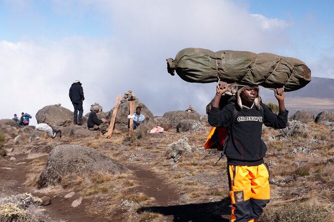 Private 8 day Northern Circuit Kilimanjaro Climb - Day 2: The Shira Plateau and your first look at Kibo